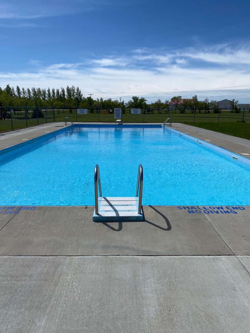 Back in the swim of things employment opportunity at Milestone pool